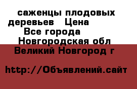 саженцы плодовых деревьев › Цена ­ 6 080 - Все города  »    . Новгородская обл.,Великий Новгород г.